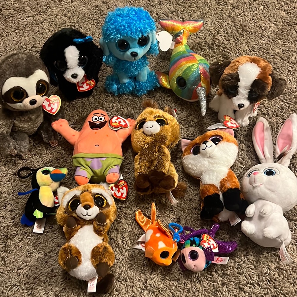 Beanie Boo’s, all have TY tag.